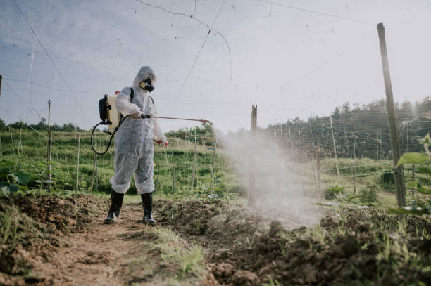 Best Best Pest Control Companies  in Ashland, NJ