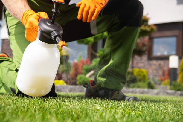 Best Pest Control Near Me  in Ashland, NJ