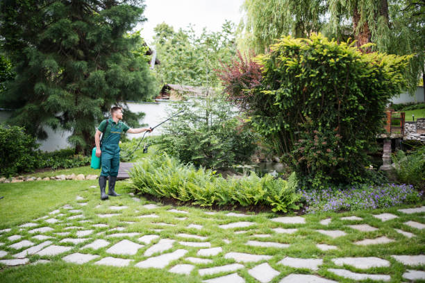 Best Affordable Pest Control Services  in Ashland, NJ
