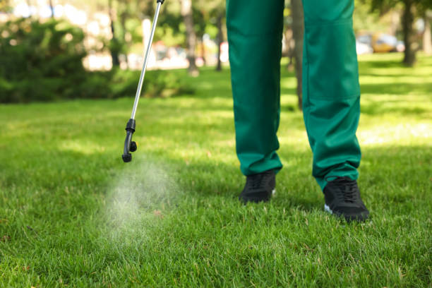 Best Flea Control Services  in Ashland, NJ