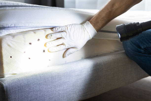  Ashland, NJ Pest Control Pros