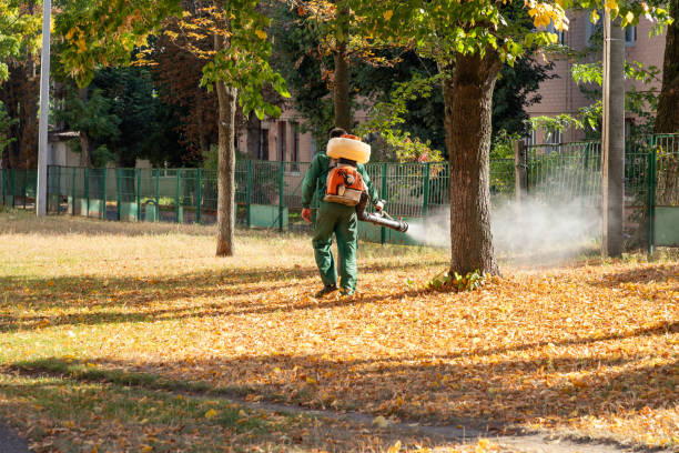 Best Bed Bug Extermination  in Ashland, NJ