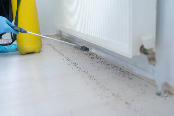Best Pest Control Near Me  in Ashland, NJ