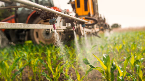 Best Mosquito Control Services  in Ashland, NJ